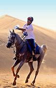 Image result for Endurance Horse Racing