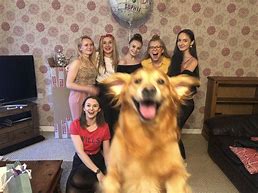 Image result for Funniest Photobombs Ever
