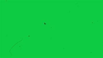 Image result for Film Grain Green screen