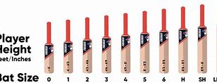 Image result for Kids Size 4 Cricket Bat
