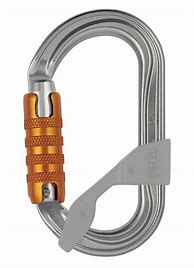 Image result for Petzl OK Triact Carabiner