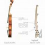 Image result for Electric Violin vs Electric Viola