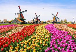 Image result for Netherlands Destinations