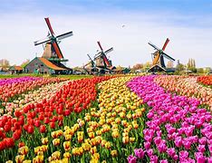 Image result for netherlands