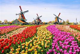 Image result for Beautiful Spring Images Mountains Netherlands