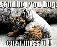 Image result for Funny Tiger Quotes