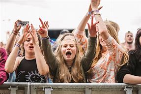 Image result for Y Not Festival