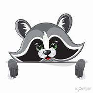 Image result for Raccoon Border
