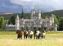 Image result for Castle Entrance Horses