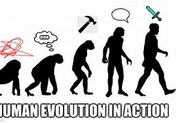 Image result for Human Evolving Meme