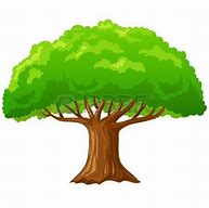 Image result for Guanacaste Tree Logo Design