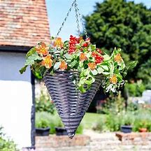 Image result for Cone-Shaped Hanging Baskets