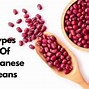 Image result for Types of Noodles in Japan