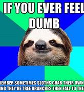 Image result for Funny Things to Make You Laugh