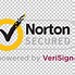 Image result for Norton Logo