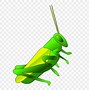 Image result for Cricket Animal Clip Art
