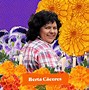Image result for Biografia Gabriel Garcia Marquez