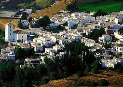 Image result for albaiea