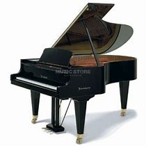 Image result for Acoustic Piano