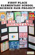 Image result for Elementary School Science Fair Projects
