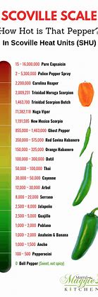 Image result for How Hot Is 2 Million Scoville Units