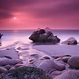 Image result for Pretty Pink Scenery