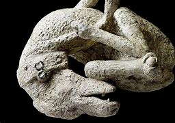 Image result for Statues of Pompeii Dog