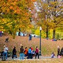 Image result for Boston Fall Foliage