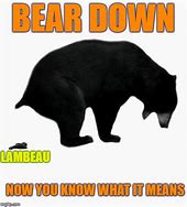 Image result for Bear Down Meme