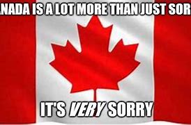 Image result for Canadian Sorry Meme
