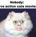 Image result for Cat Memes 2019