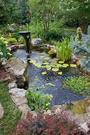 Image result for Backyard Fish Pond Ideas