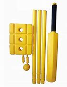 Image result for Cricket Kit for Kids