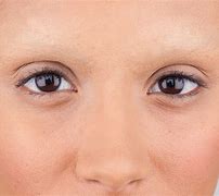 Image result for How to Makeup Eyebrows