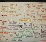 Image result for Human Body Systems Concept Map