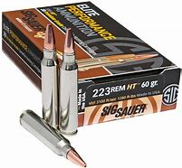 Image result for 223 Remington Ammo