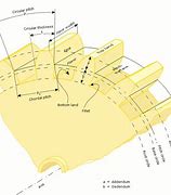 Image result for Spur Gear Gearbox