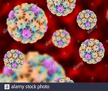 Image result for Male HPV Warts