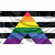 Image result for LGBT Ally Symbol