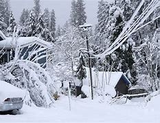Image result for Grass Valley CA Snow