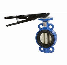 Image result for Wafer Butterfly Valve 65Mm