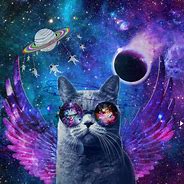 Image result for Purple Galaxy Cat