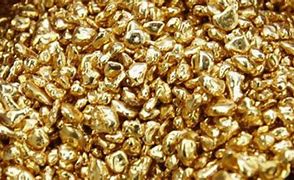 Image result for 1 Grain of Gold