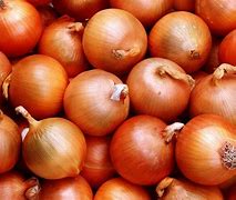 Image result for Onion Pictures And
