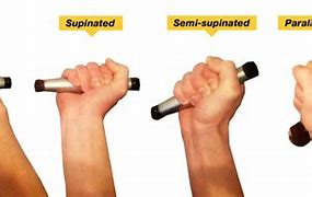 Image result for Hand Positions and Strength