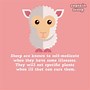 Image result for Did You Know Facts Printable