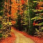 Image result for Fall Home Screen