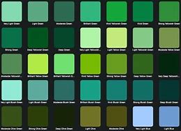Image result for Different Types of Black for iPhone