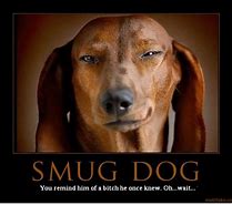 Image result for Weenie Dog Flying Meme