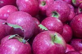 Image result for Pink Apple Fruit Thing